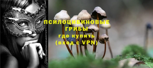 мяу мяу кристалл Богданович